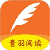 b站大片直播