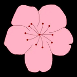 九.幺官方版APP应用